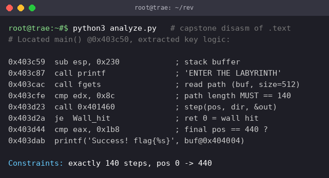 03_disasm.png
